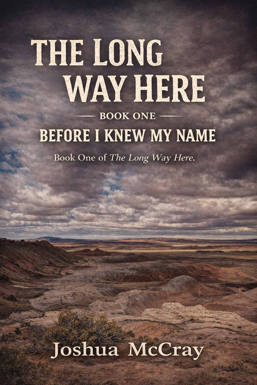 Paperback - The Long Way Here - Book One - Before I Knew My Name